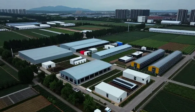 技术转让中的性能优化与适用场景分析